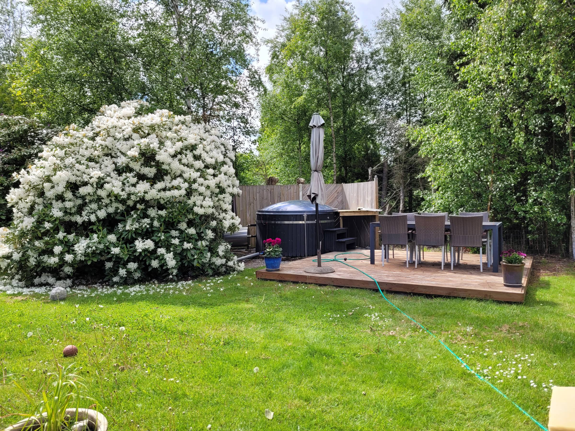 Skønt ugeneret sommerhus med spa og vildmarksbad billede 4