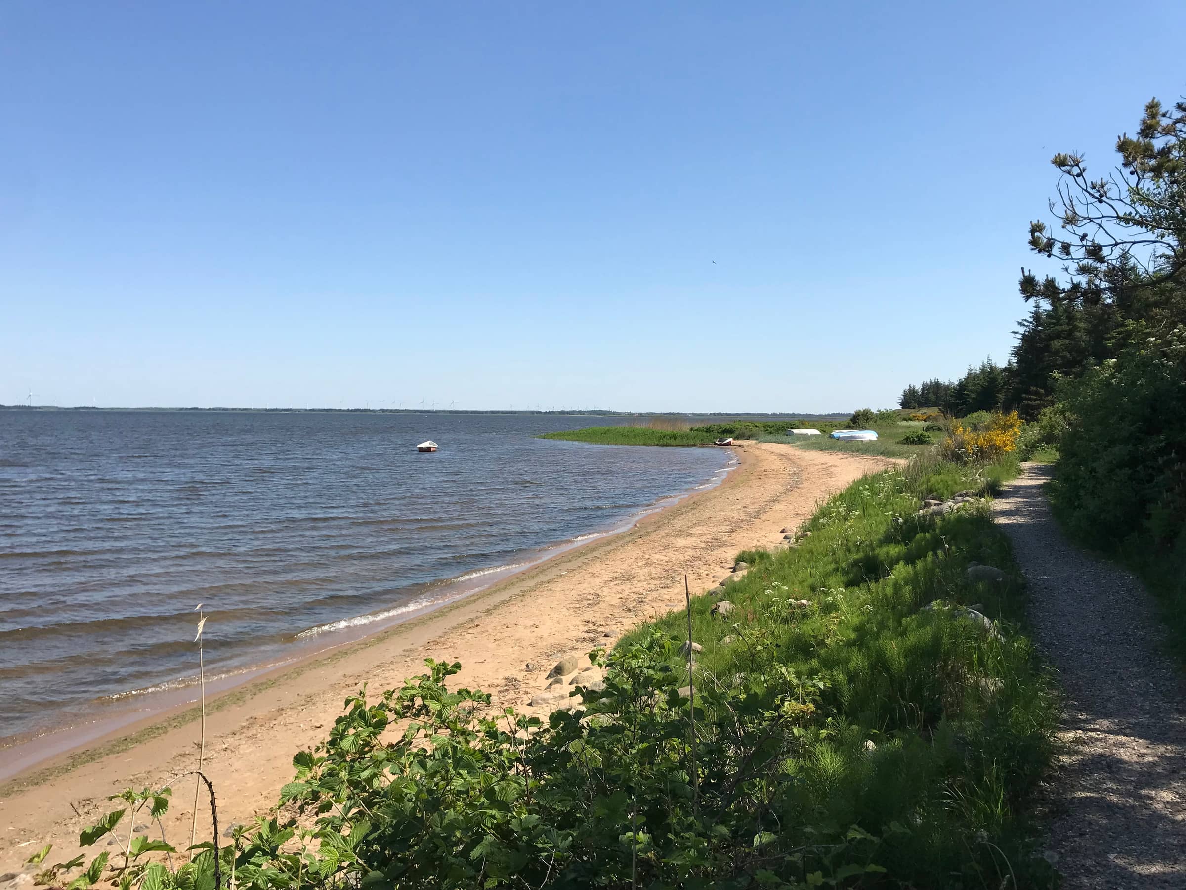 Familievenlig sommerhus ved Vesterhavet billede 2