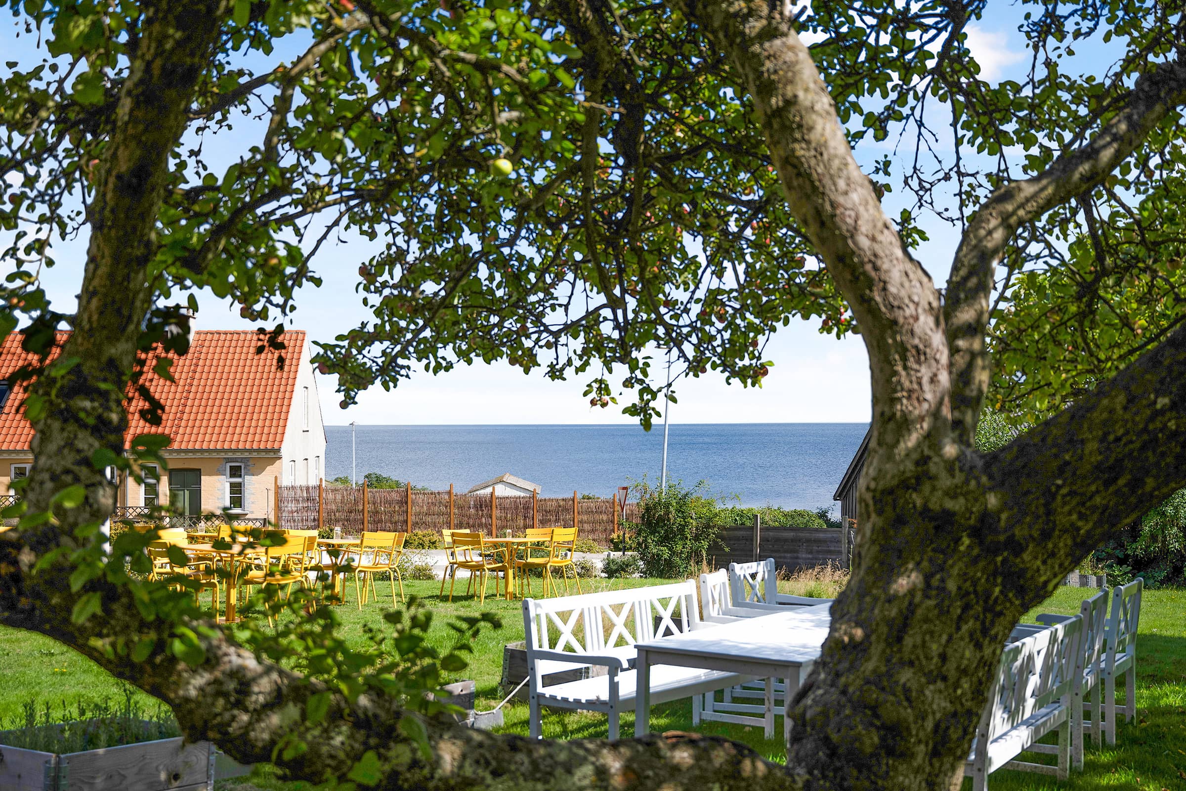 Sommerferielejlighed  2 på skønne Solgaarden billede 4