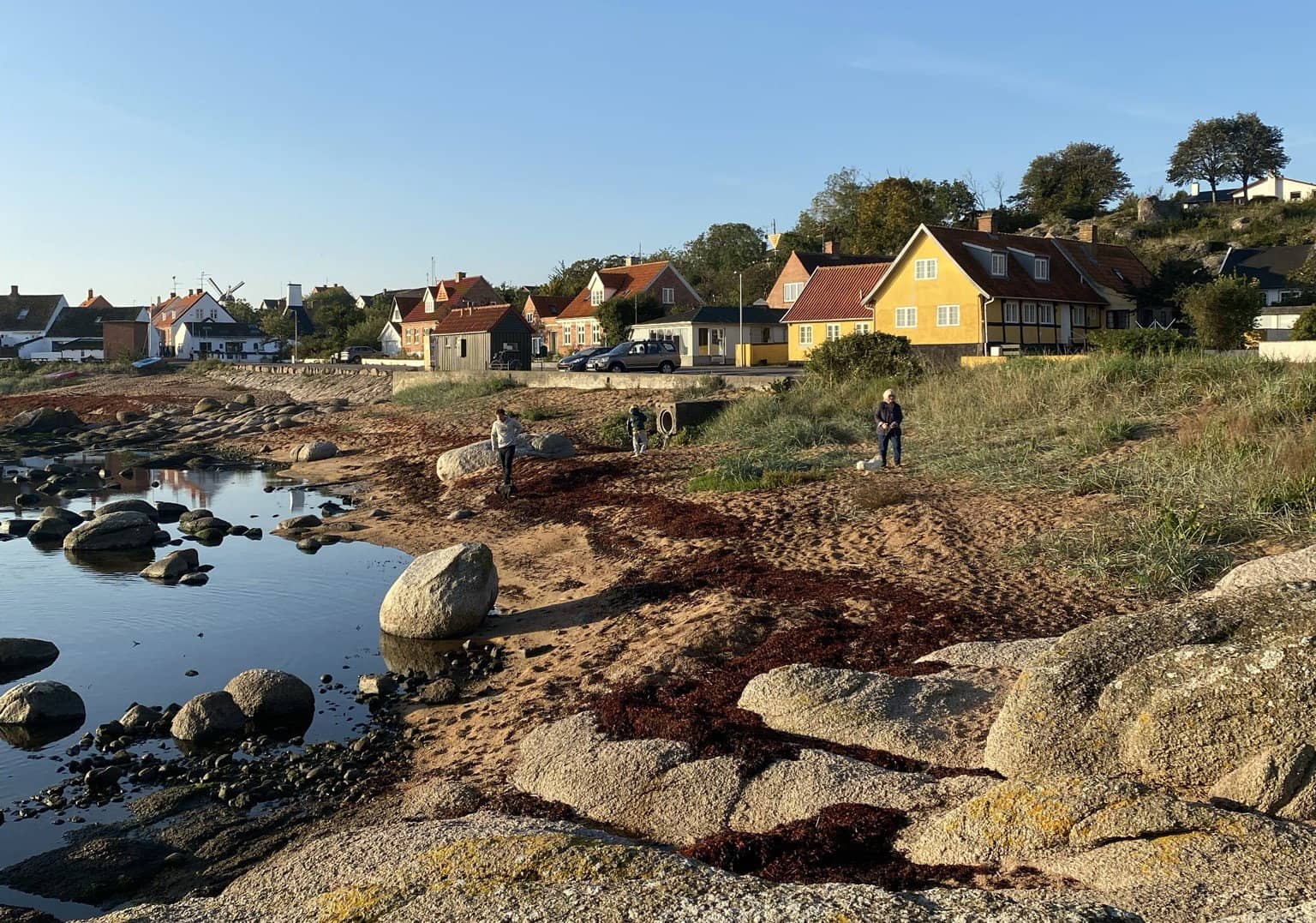 Sommerferielejlighed  2 på skønne Solgaarden billede 2