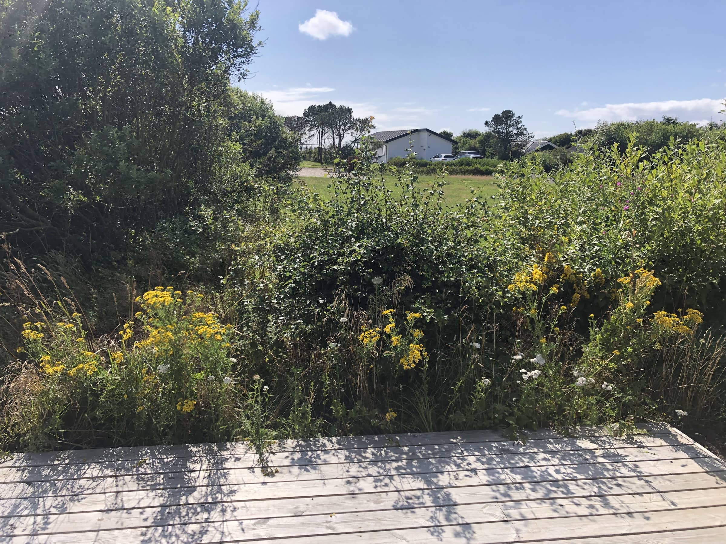 Sommerhus Kærgården Vestervig billede 3