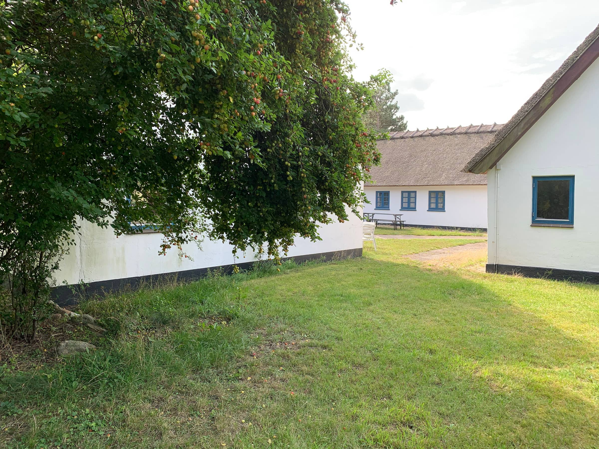 Stort sommerhus tæt på vandet billede 3