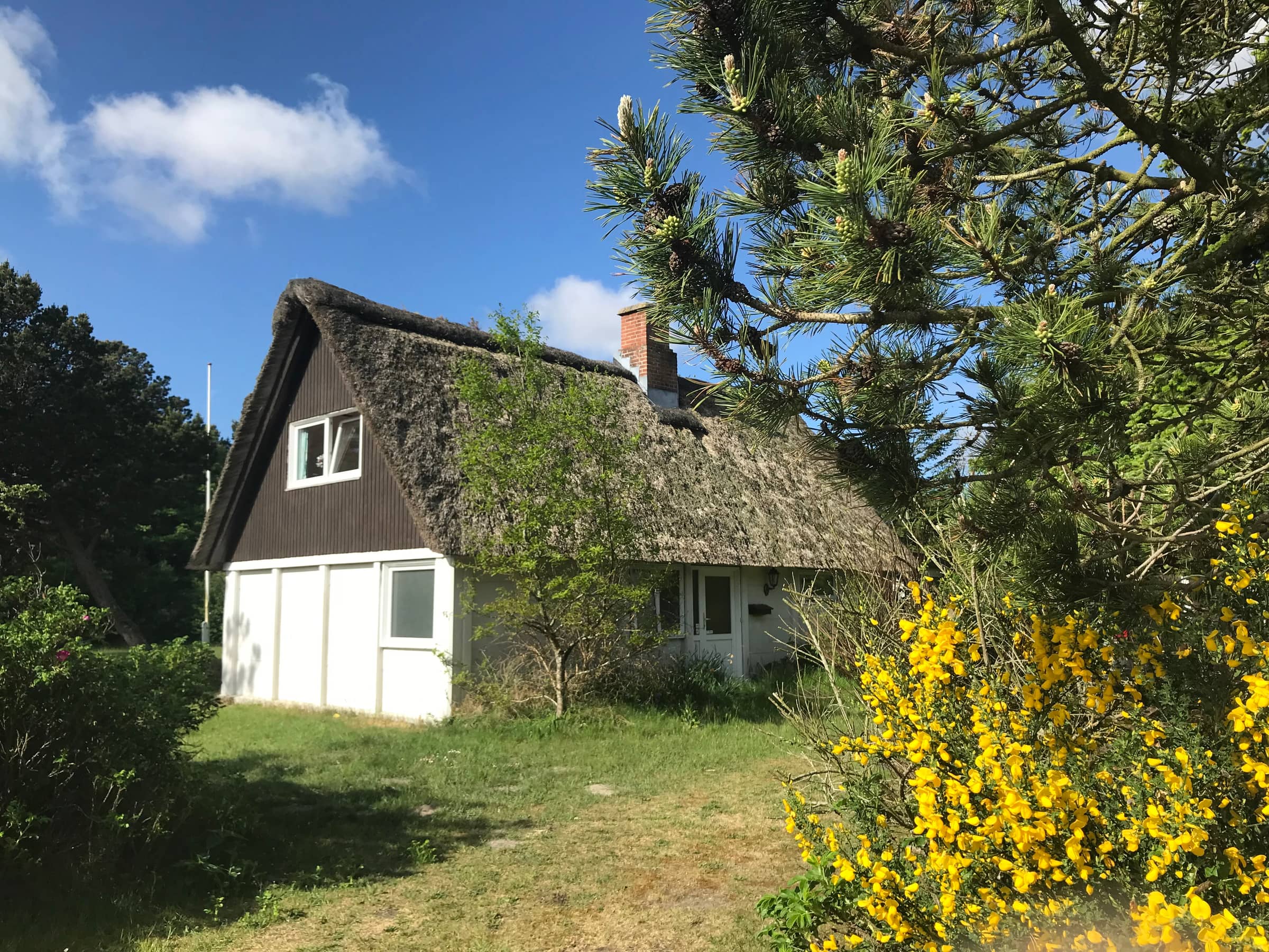 Dejligt sommerhus på den naturskønne ø Rømø billede 2