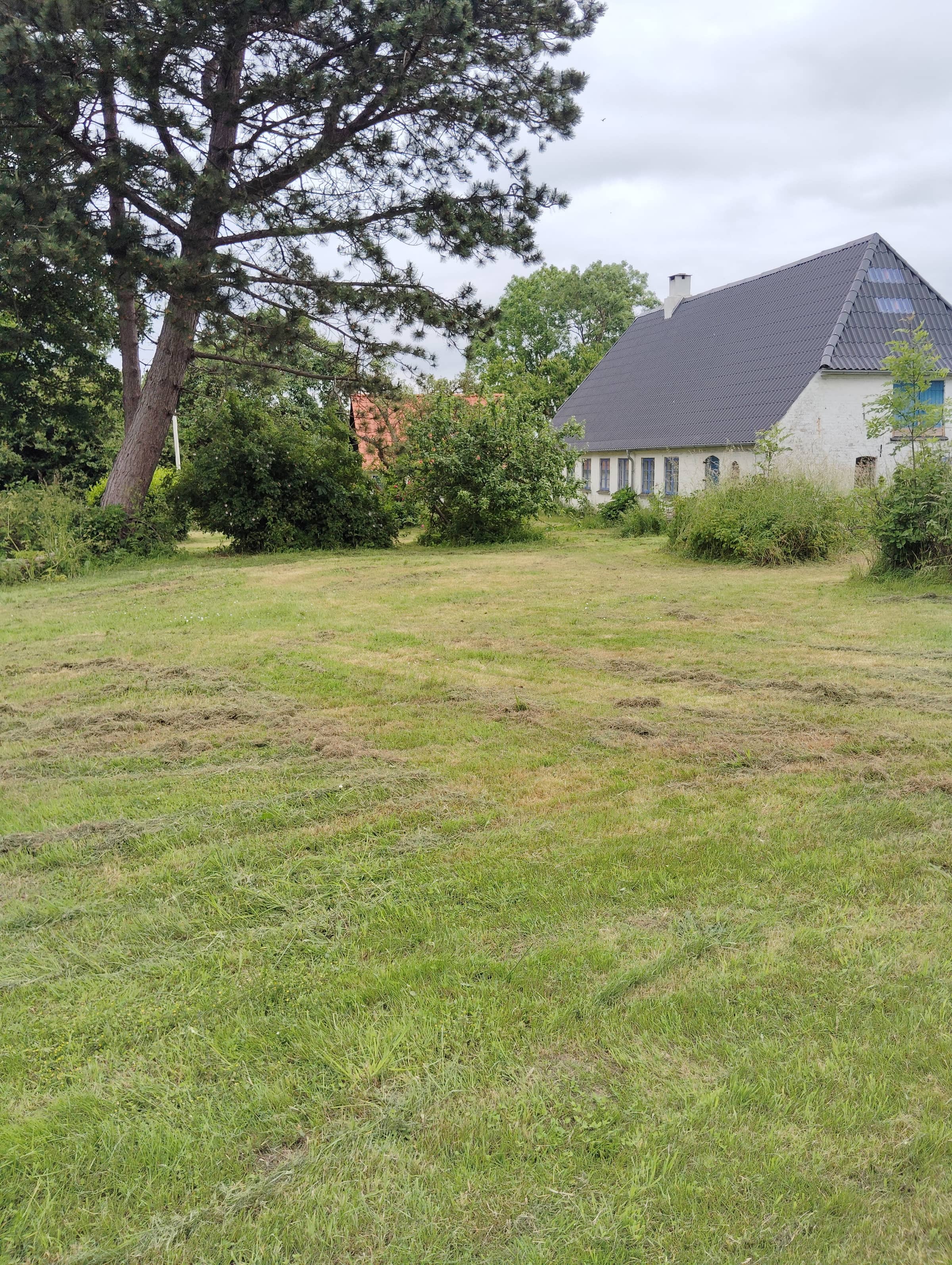 Sommerhus med  havkig billede 2