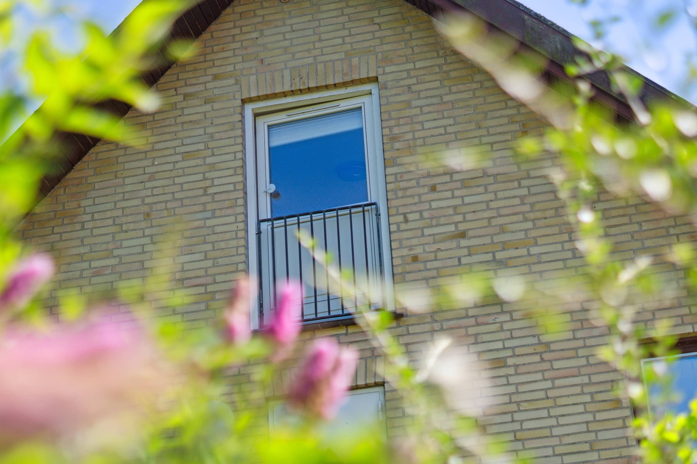 Hyggeligt hus op til skov, kyst og klippestrand billede 4