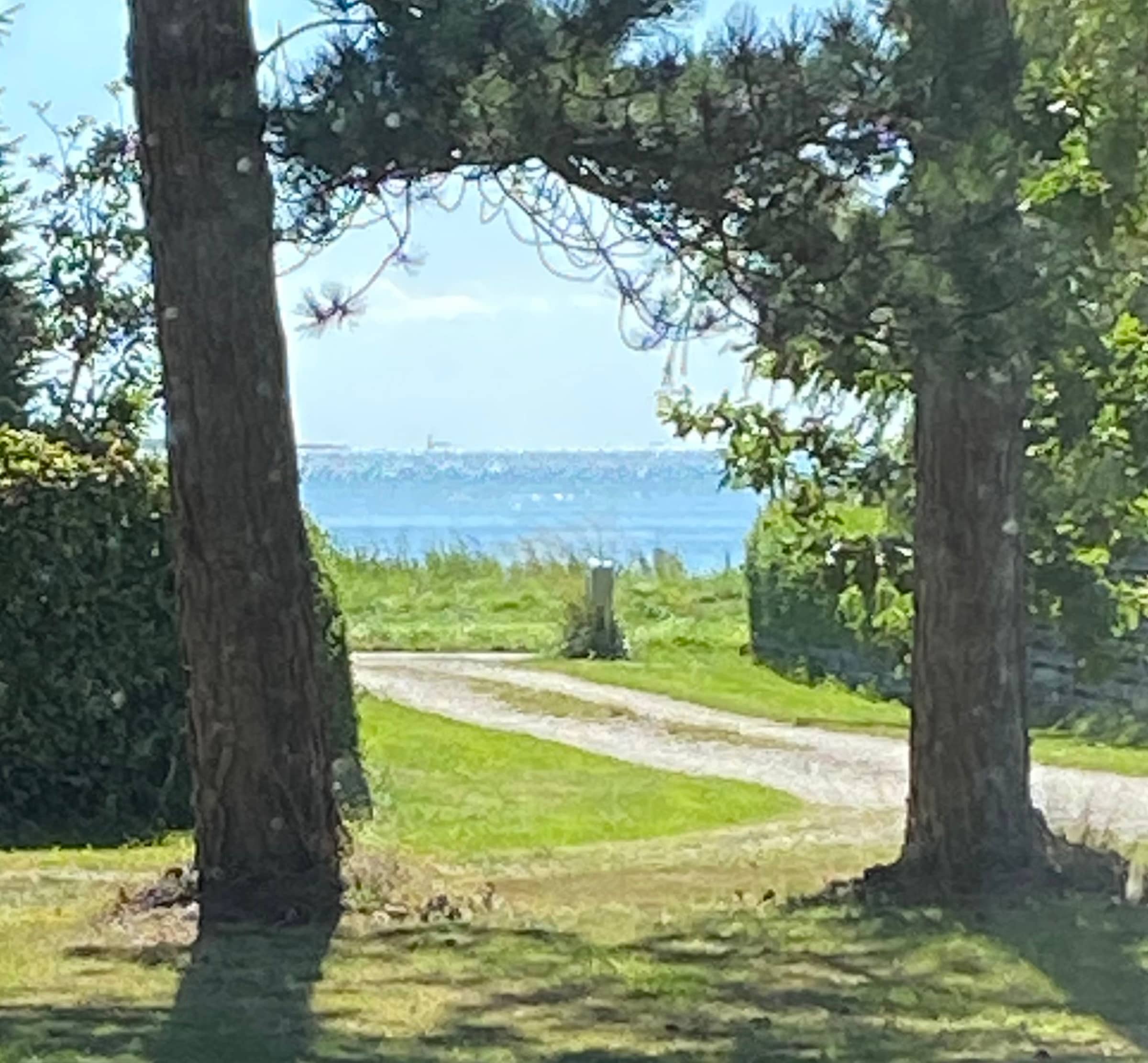 Idyllisk sommerhus få meter fra kysten billede 4