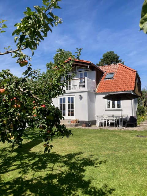 Skønt sommerhus med fantastisk udsigt på Femø billede 5
