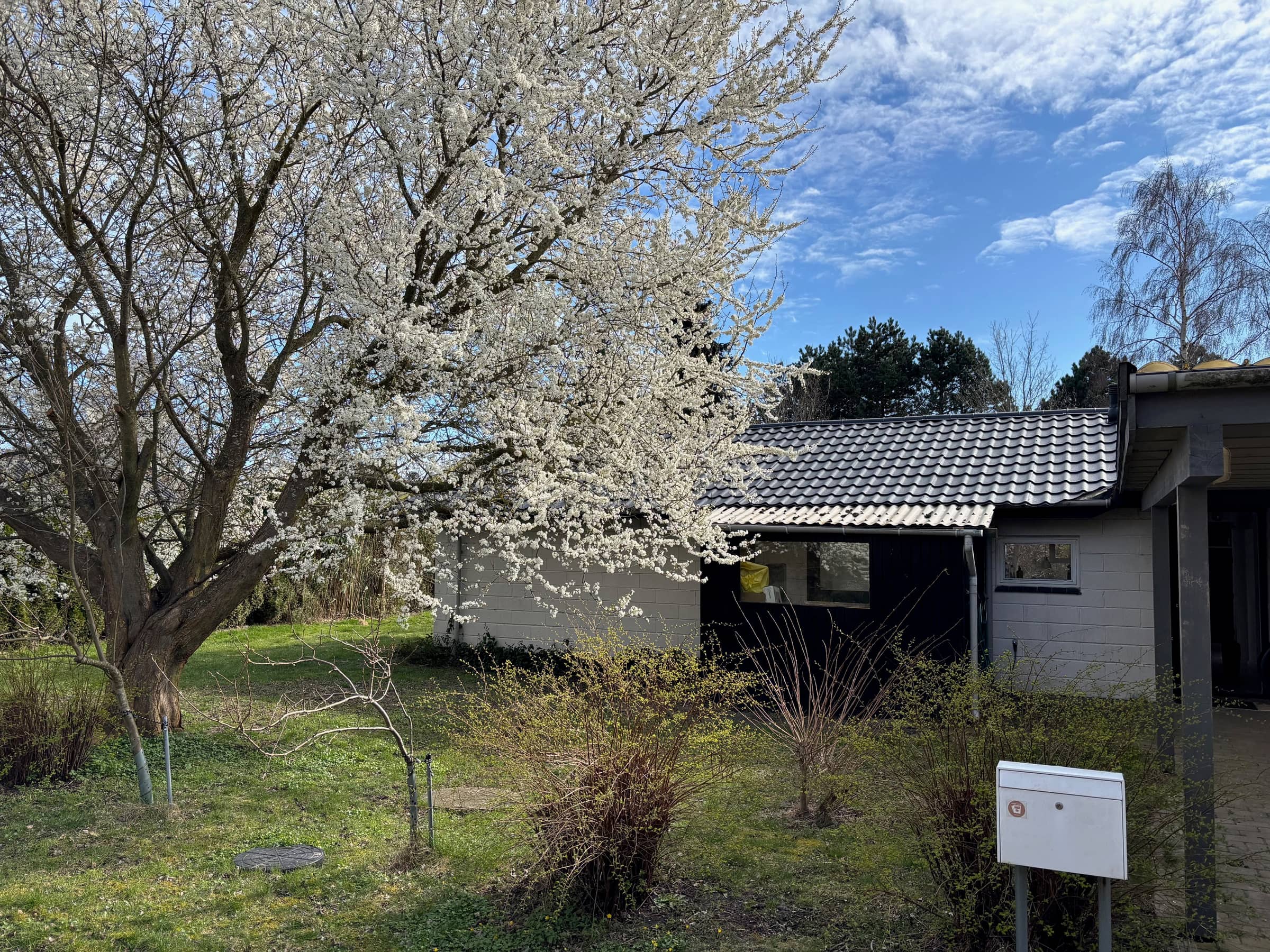 Sommerhus nær vand, skov og Møns Klint billede 2