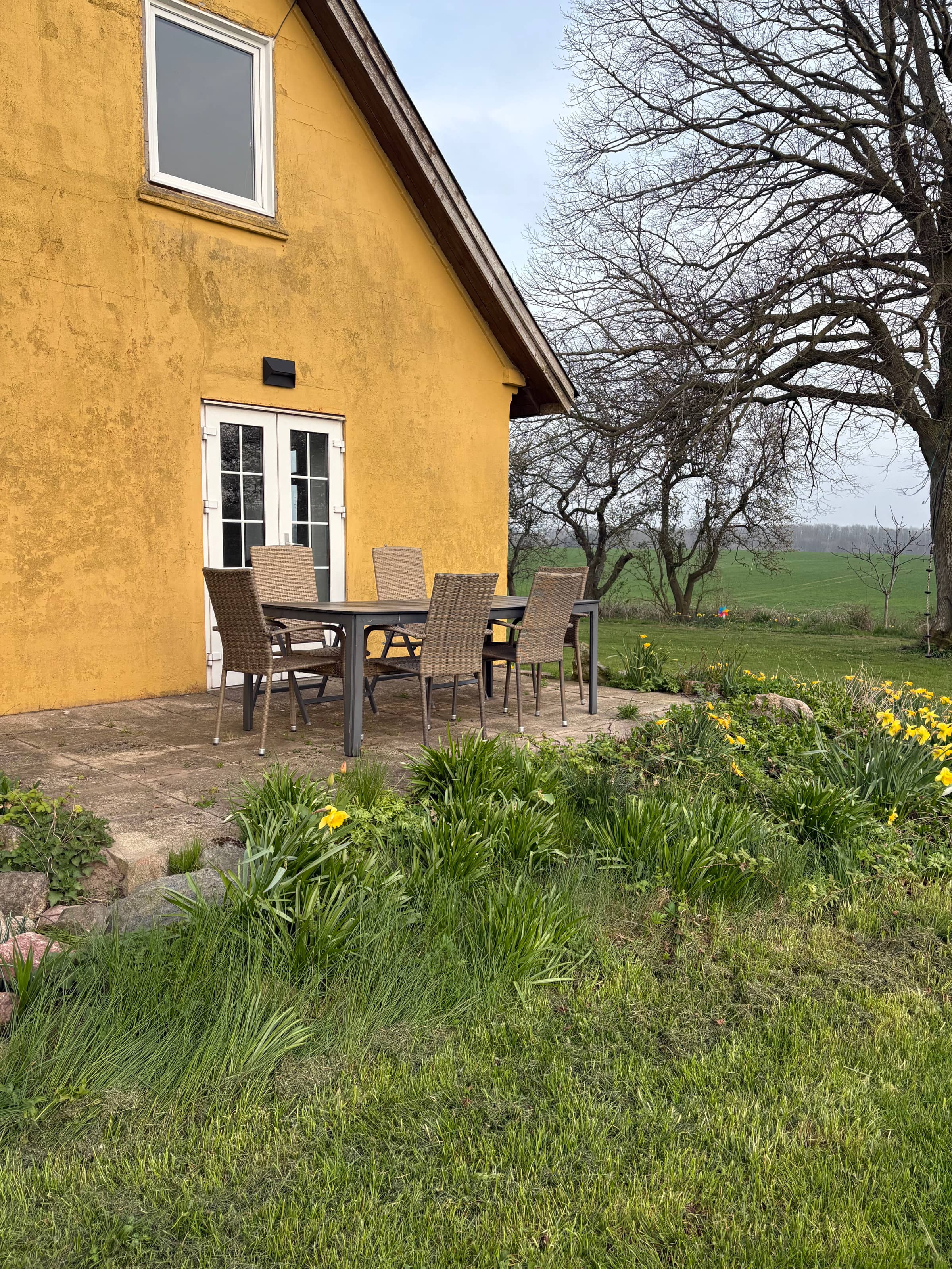 Idyllisk landsted med havudsigt og solnedgange billede 5