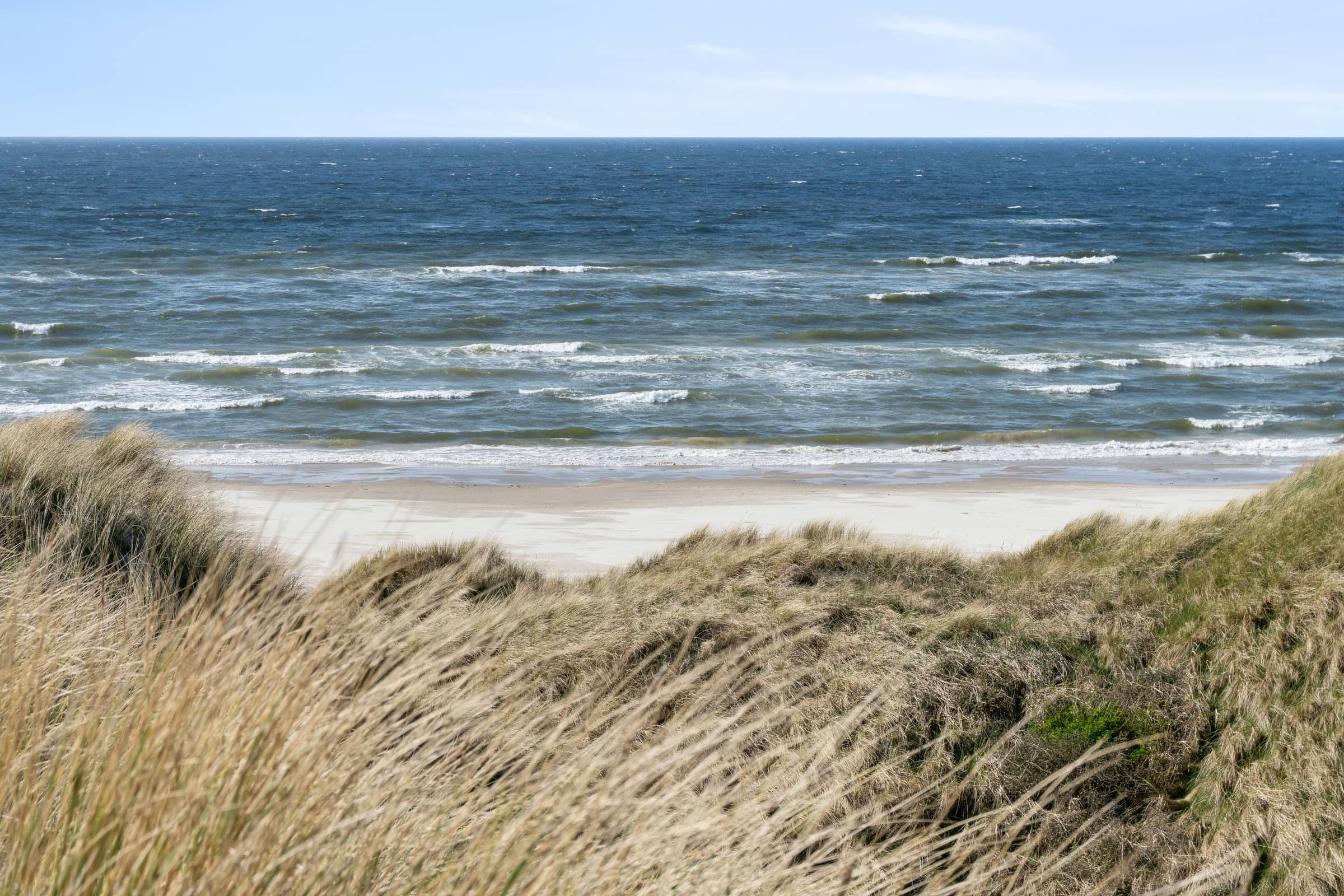 Førsteparket til Vesterhavet i moderne sommerhus billede 3