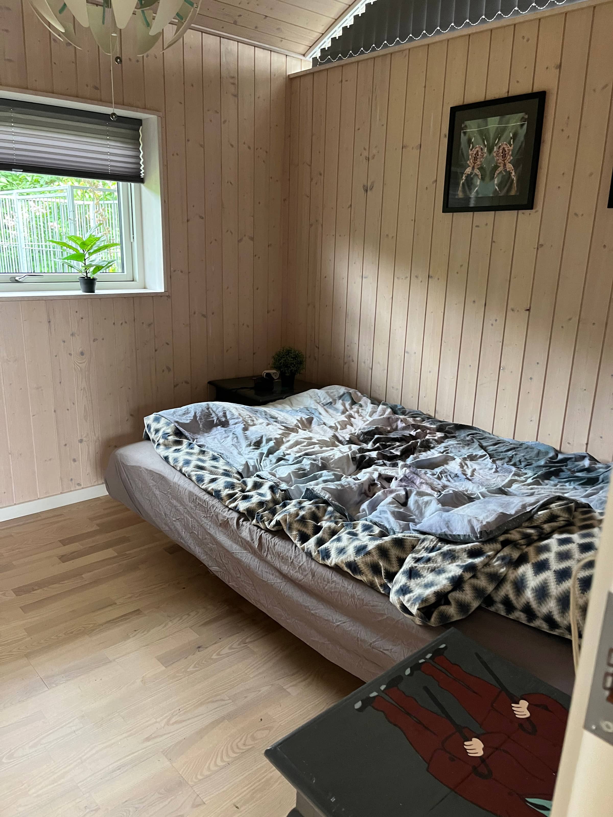 Lyst sommerhus m havudsigt og stor indhegnet have billede 4