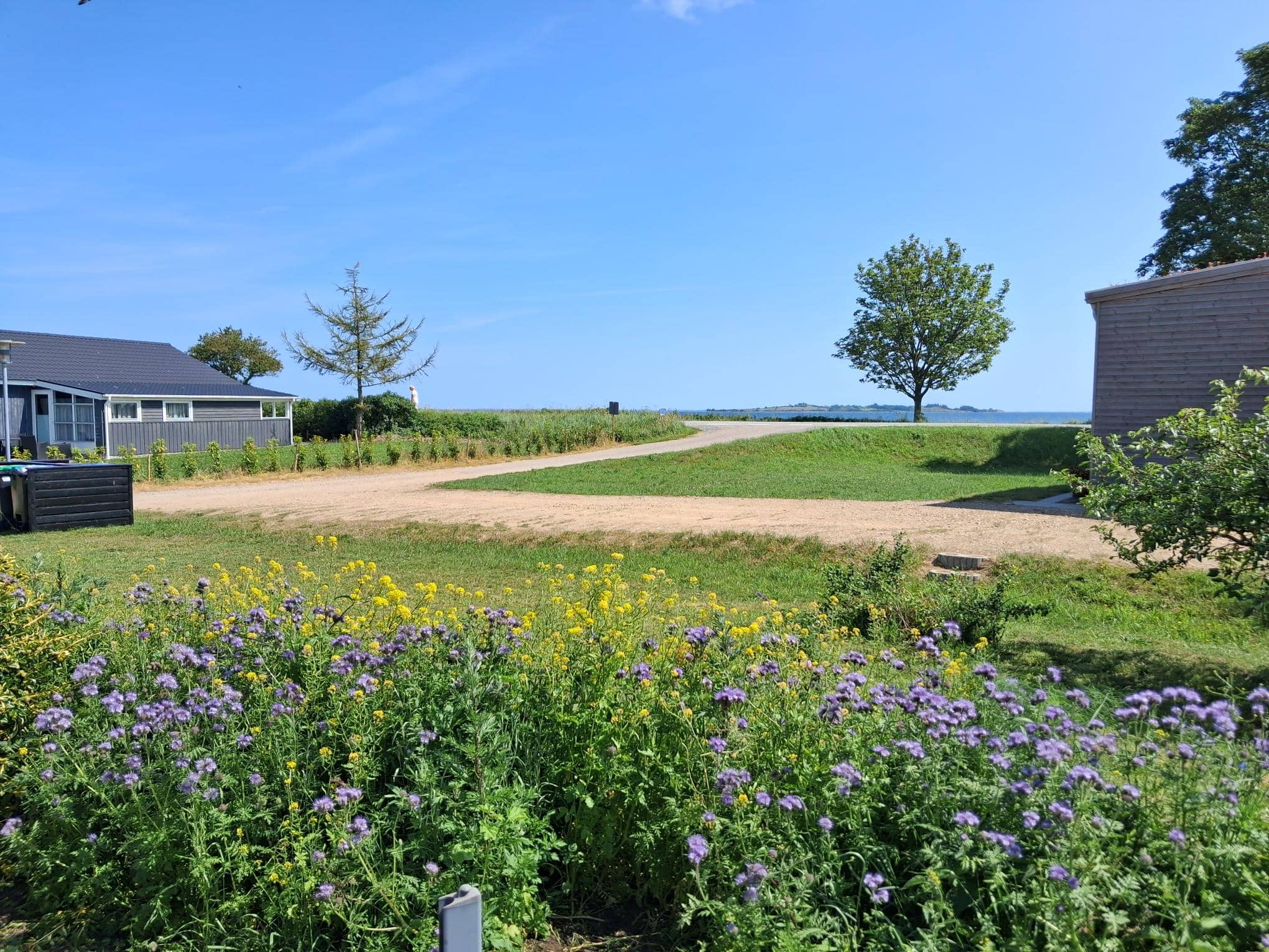 Hyggeligt sommerhus tæt på strand og skov billede 3