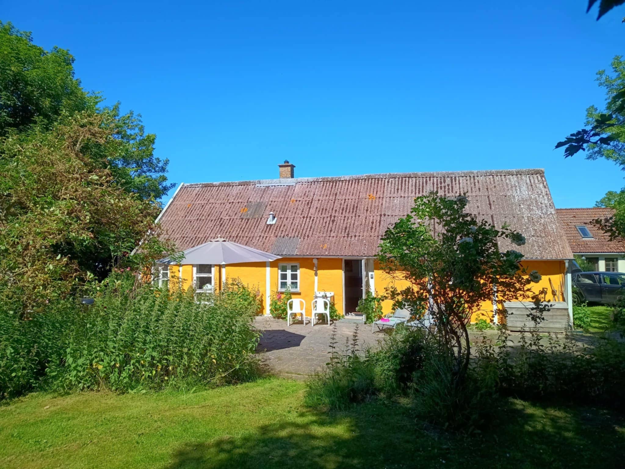 Særdeles charmerende sommerhus på Sejerø billede 3