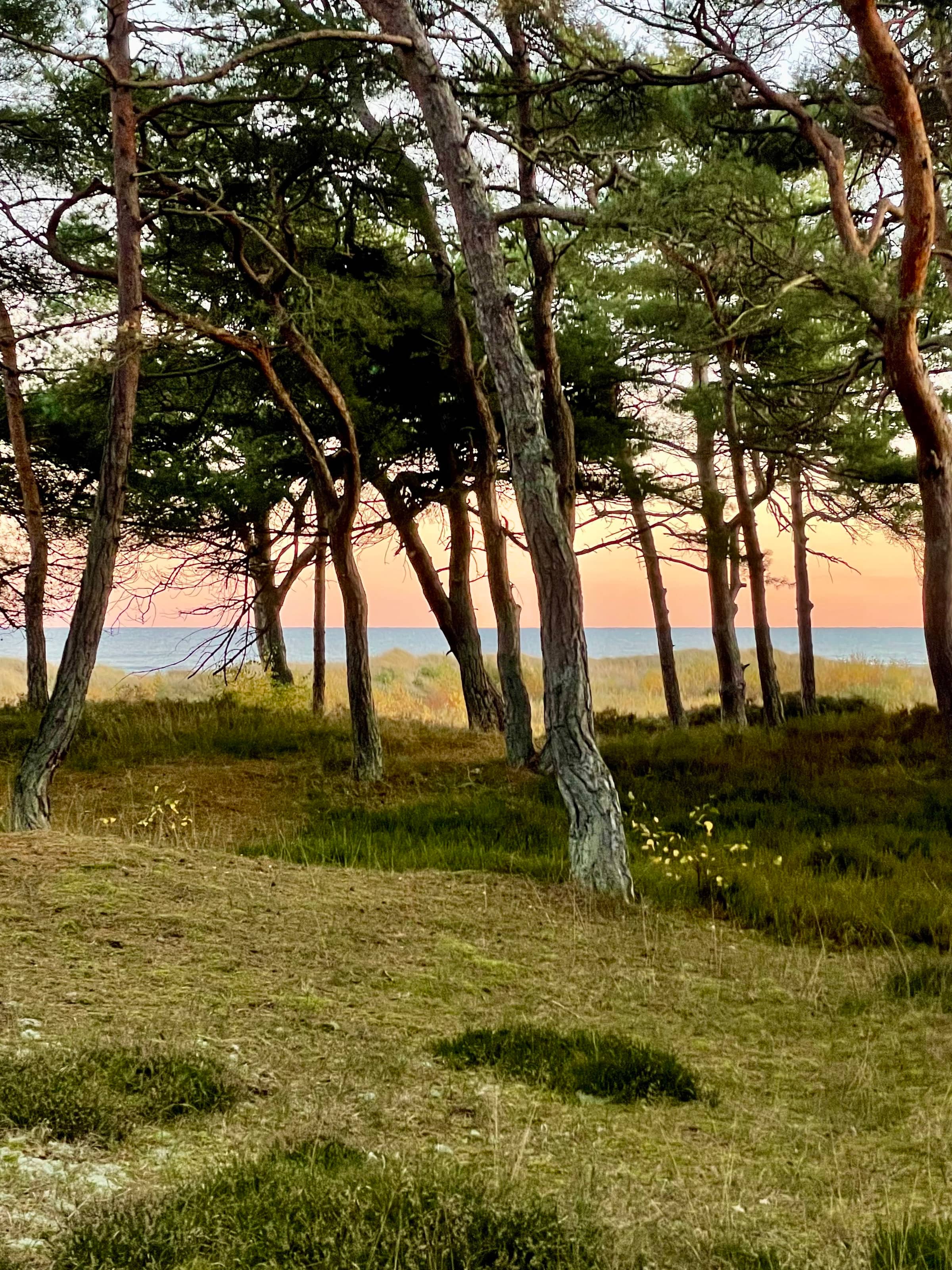 Feriehus nær stranden – perfekt til afslapning billede 4