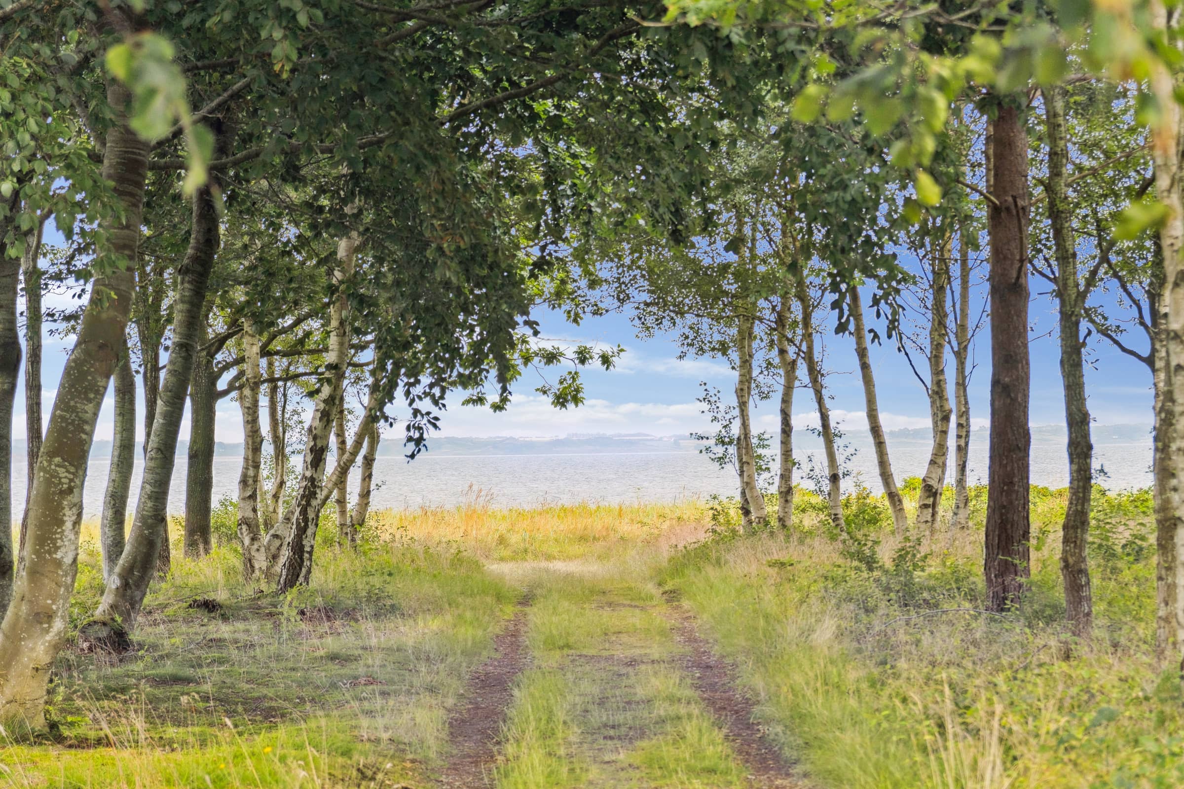 Hyggeligt sommerhus tæt på stranden billede 3