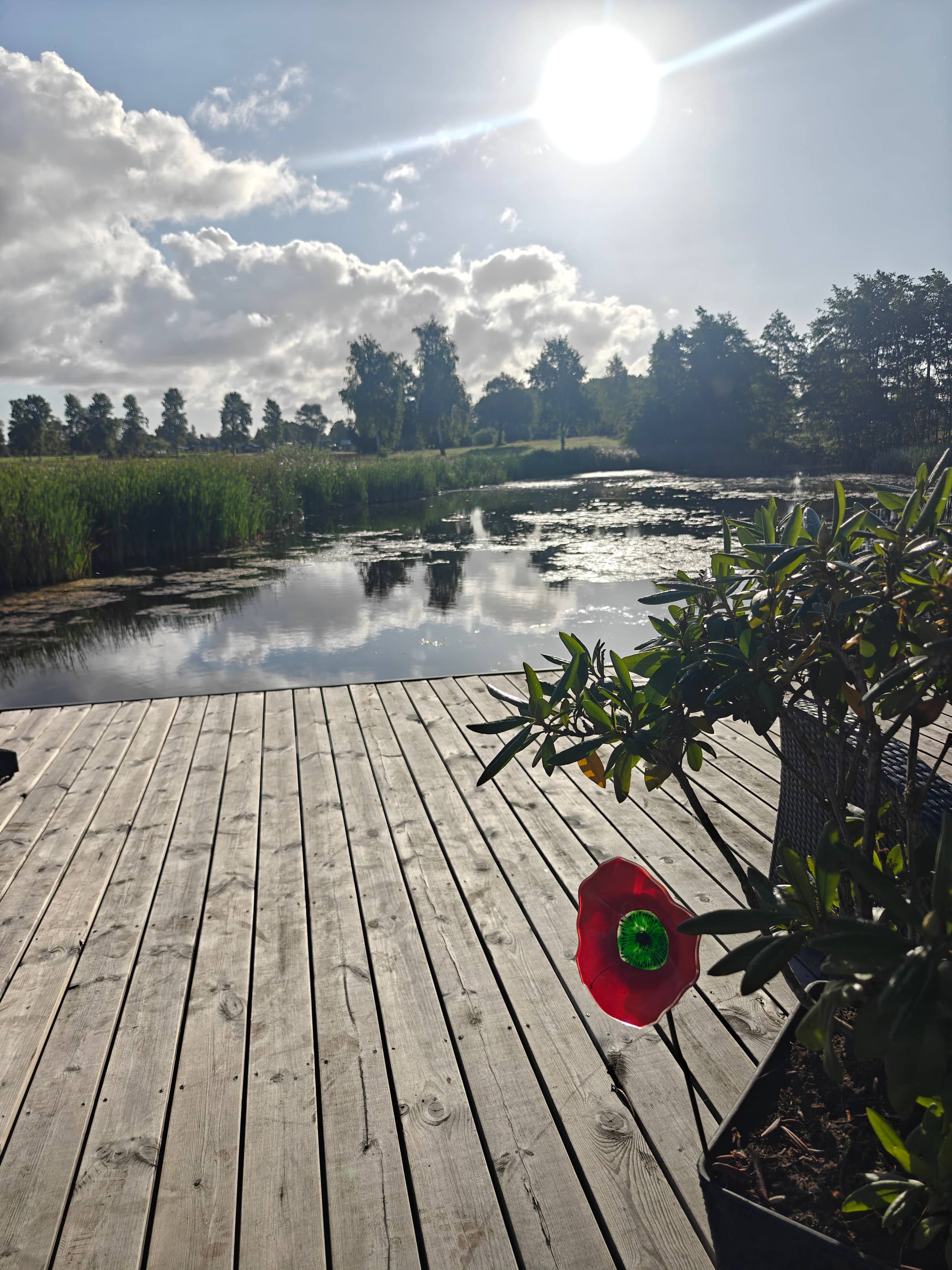 Naturskøn perle og lækkert sommerhus med hems billede 2