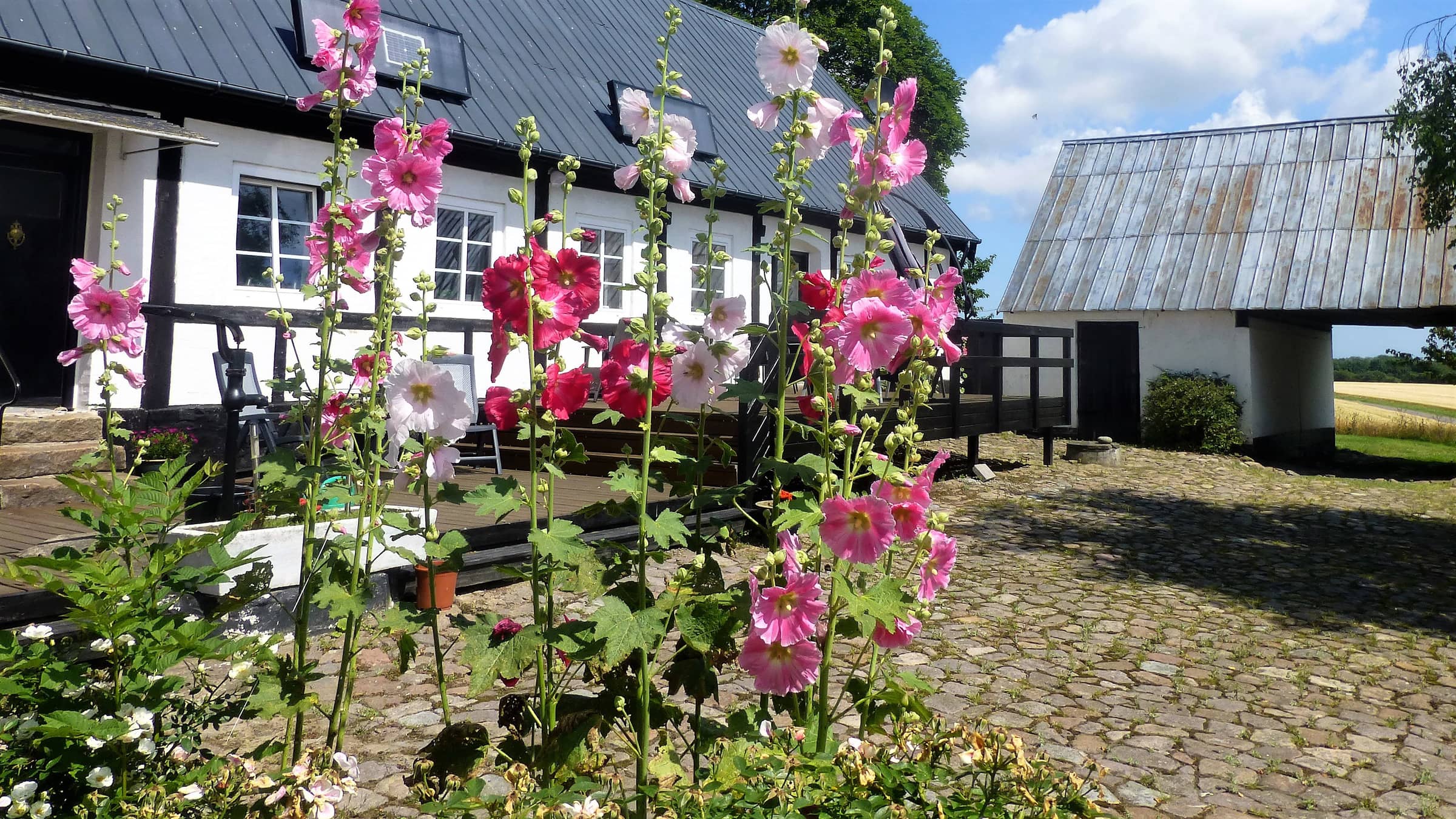 Stort sommerhus midt på Bornholm billede 2