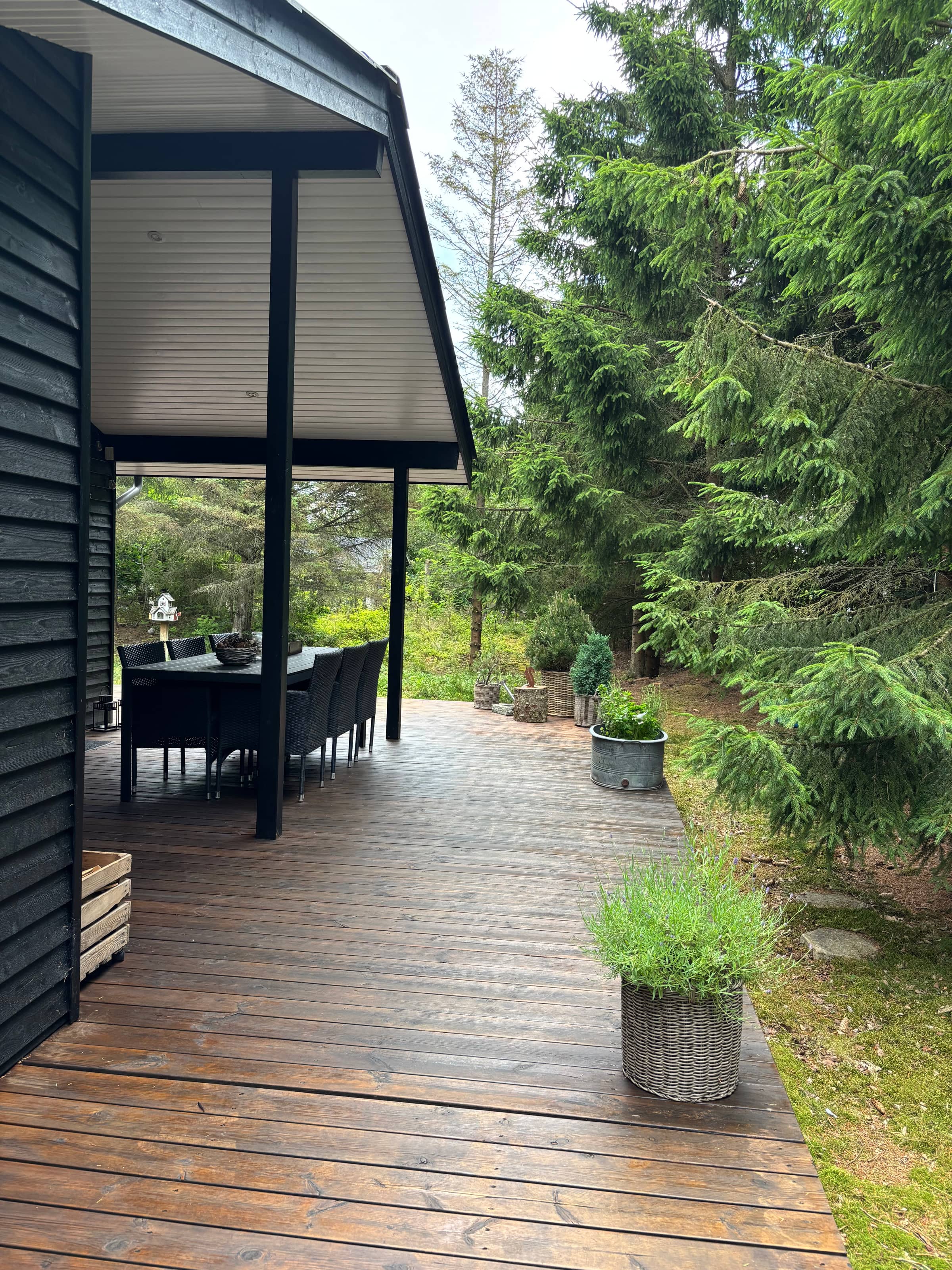 Sommerhus Fauna Hou, Hals, 300 meter fra havet billede 5