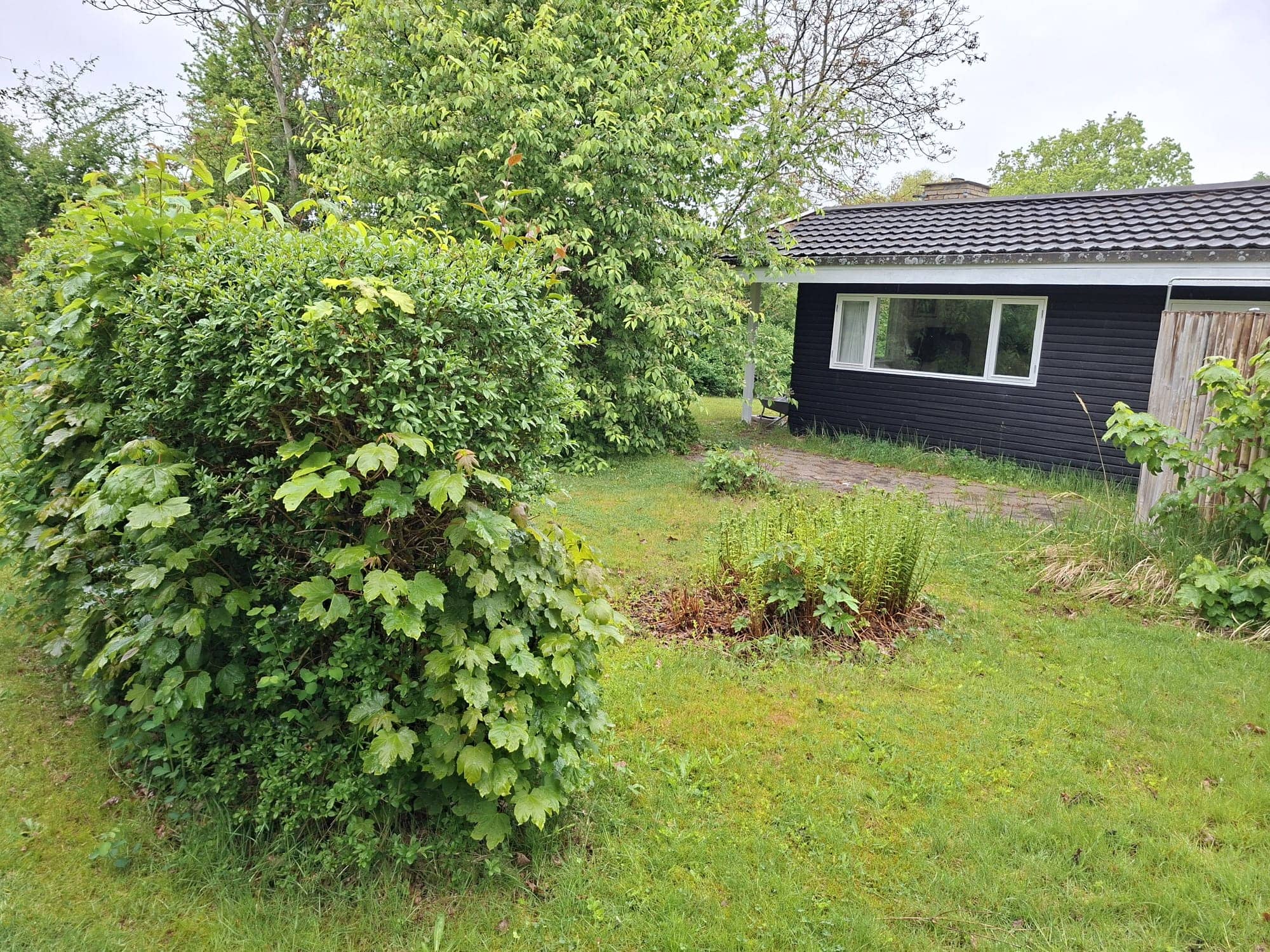 Hyggeligt sommerhus med privat atmosfære, 4 pers billede 3