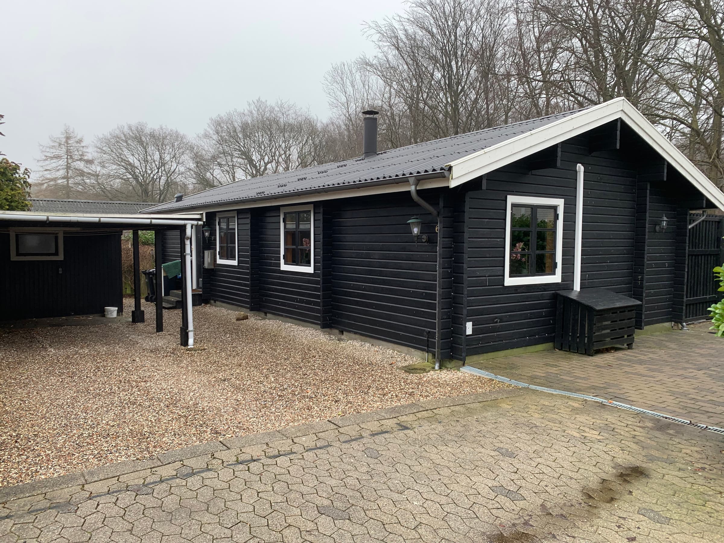 Oplev Nordsjællandsk bøgeskov  og strand  hovedbillede