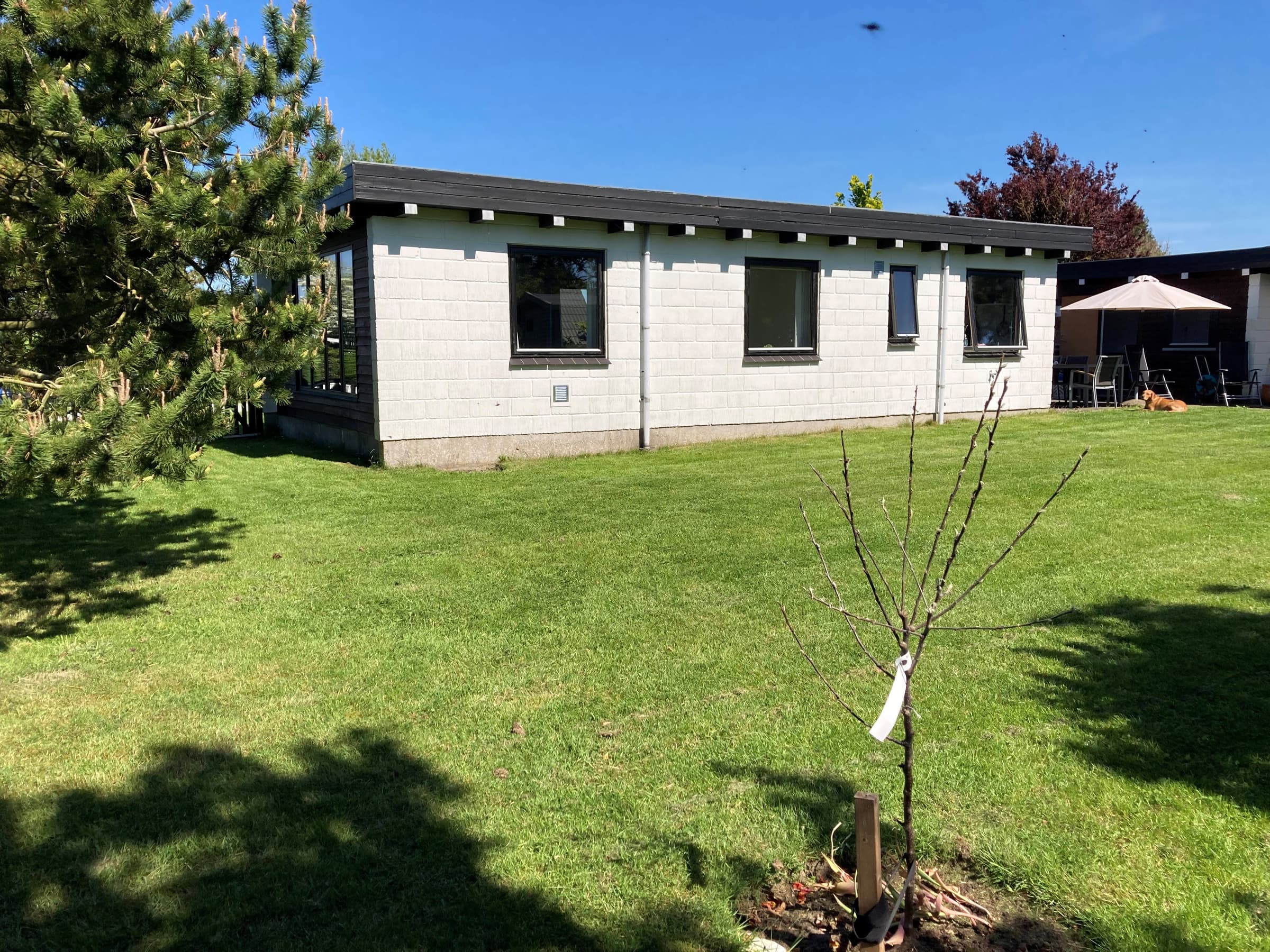 Hyggeligt sommerhus ved Skåstrup Strand hovedbillede