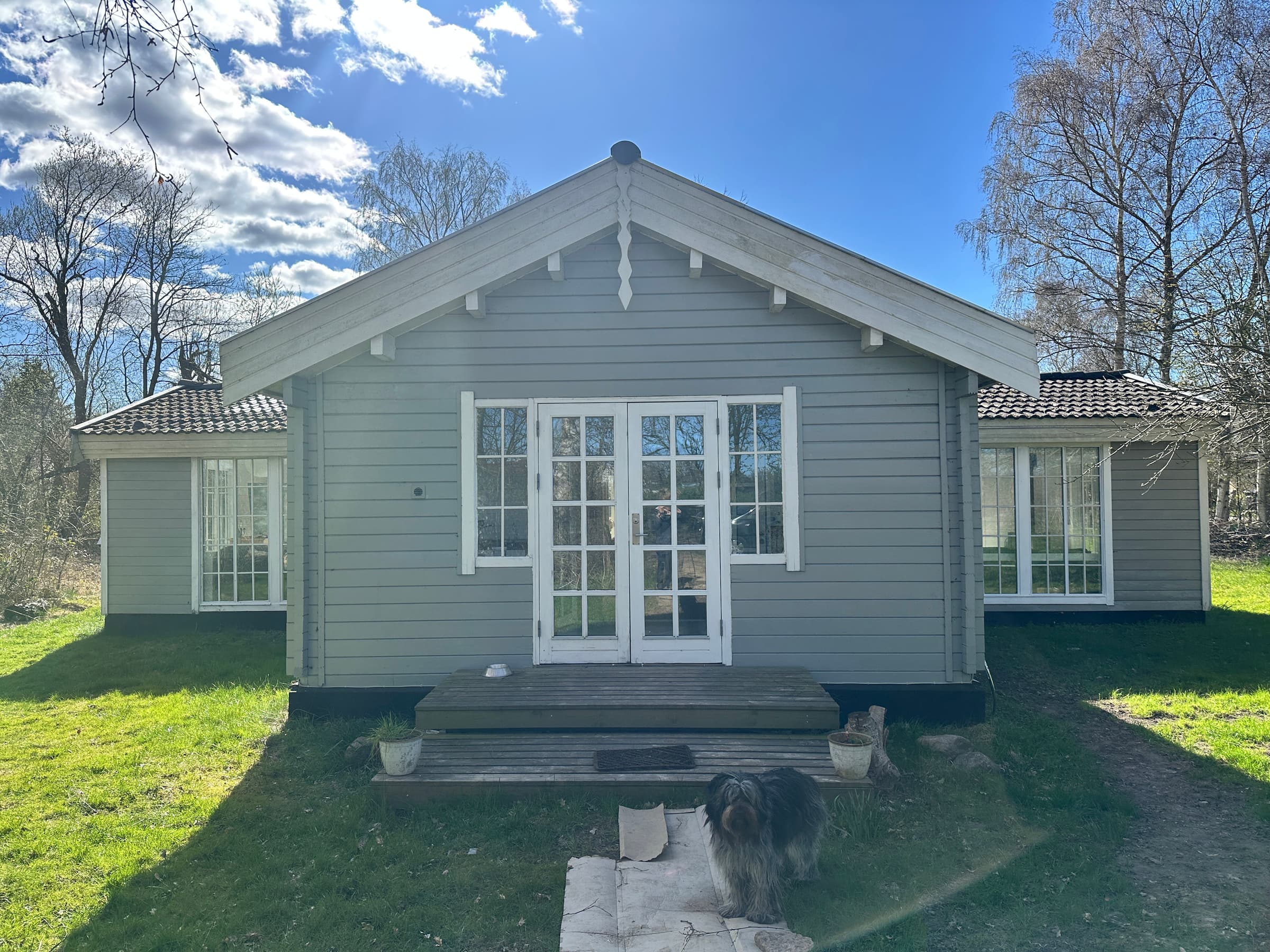 Villa Betula: Naturperle ved Hårbølle Havn  hovedbillede