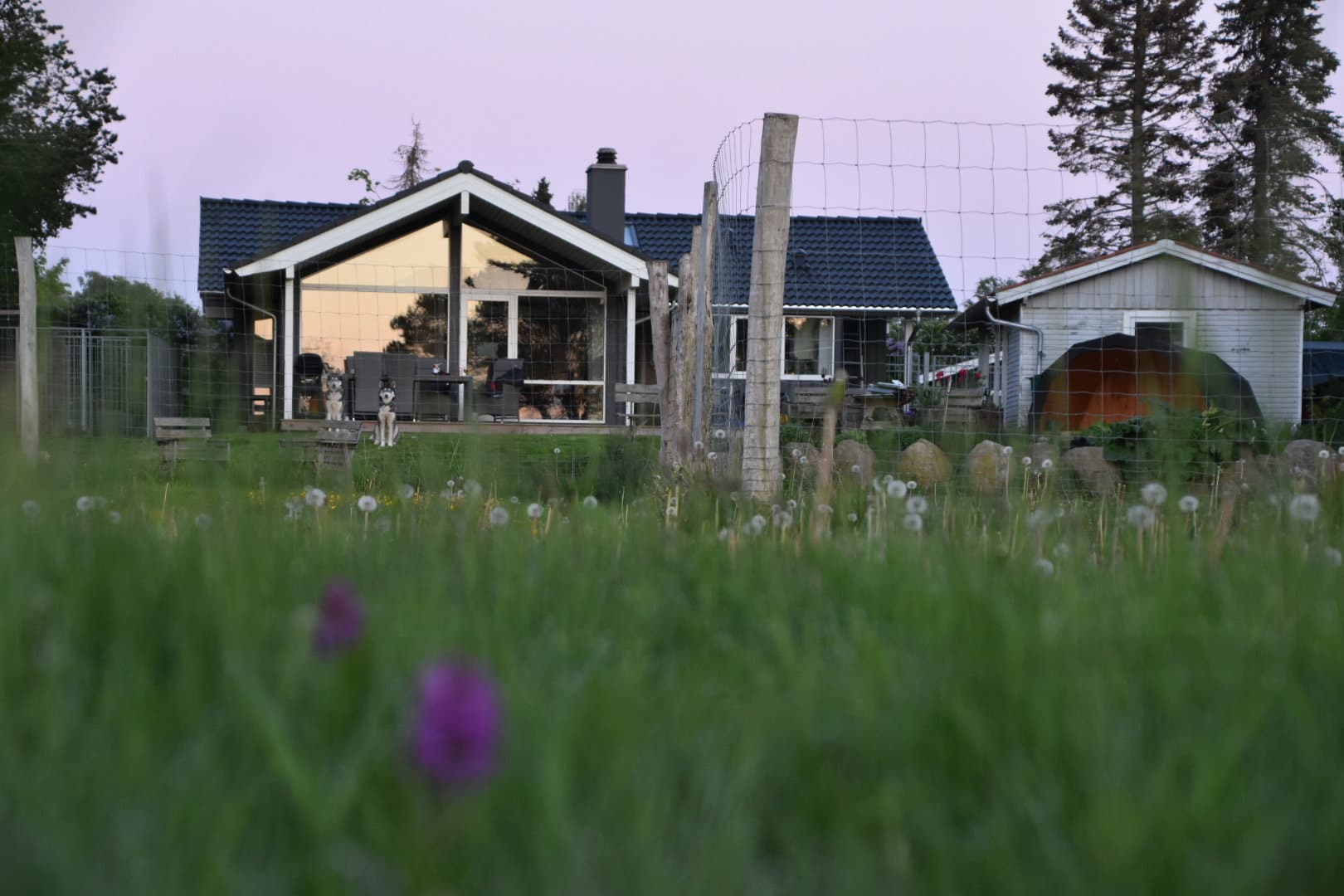 Lyst sommerhus m havudsigt og stor indhegnet have hovedbillede