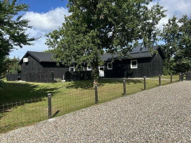 Dejligt, stort feriehus i naturskønne Trend - billede 1
