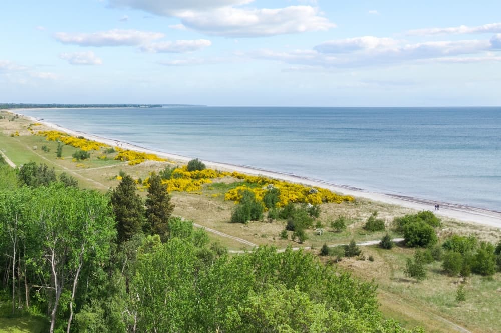 Lækkert sommerhus med 6 soveværelser lige ved stranden i Marielyst - billede 1